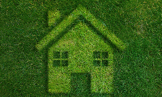 Make your Home Eco-Friendly